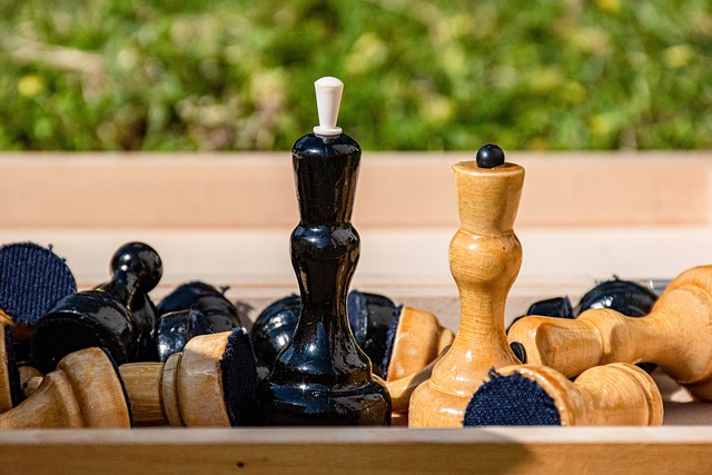 进一步提供 进一步提供