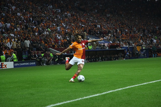 中显得更加 中显得更加