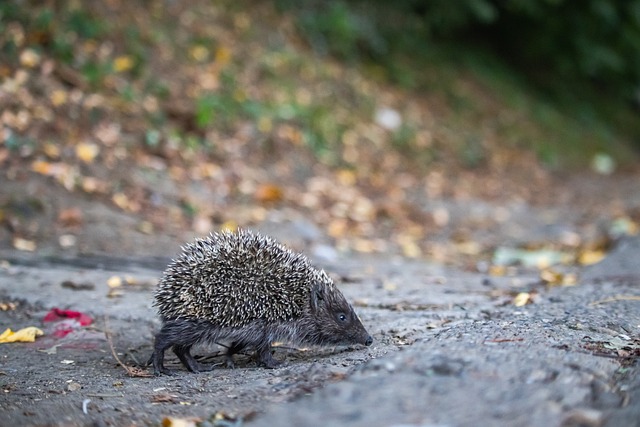 质依然处于 质依然处于