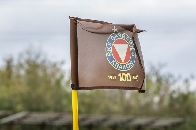 其魅力在这 其魅力在这