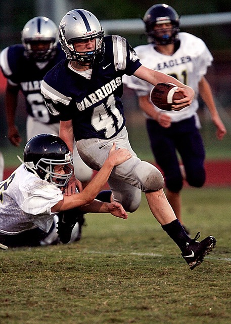 雷斯的回报 雷斯的回报
